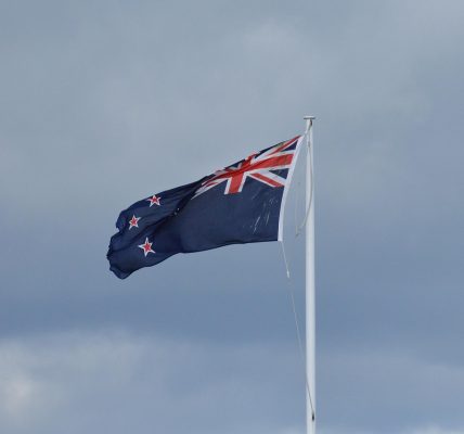 Flag, new zealand, wind — examplearticle