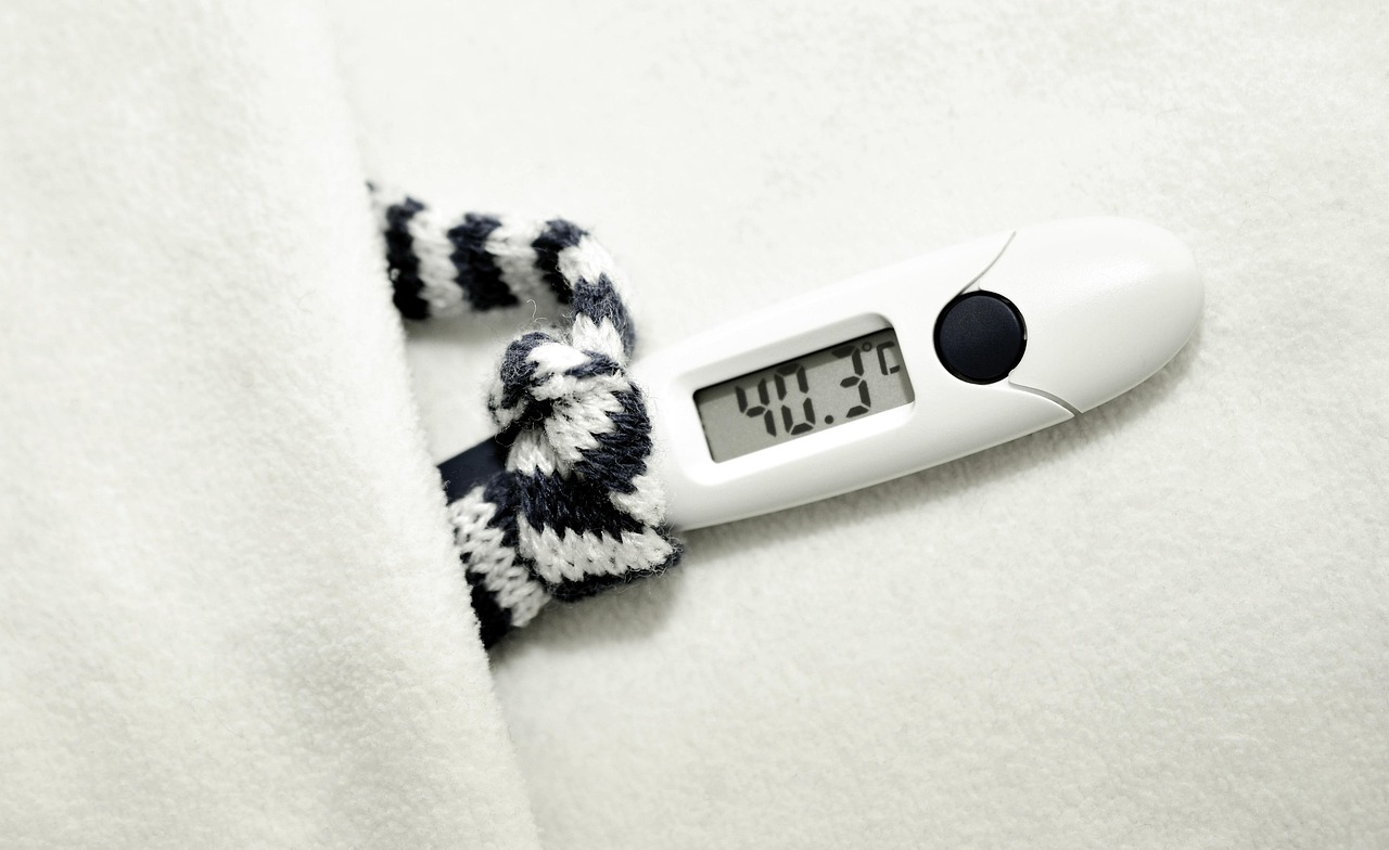 Clinical thermometer, fever, disease — "Top Reasons to Invest in Window Replacement for Your Redmond Home"